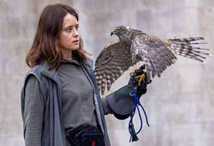 H is for Hawk